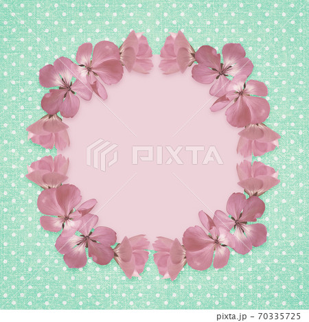 Pink frame with geranium flowers 70335725