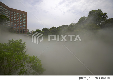 ホテル椿山荘 東京雲海 ホテル椿山荘 東京雲海 70336816