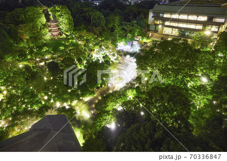 ホテル椿山荘　東京雲海　夜景 70336847