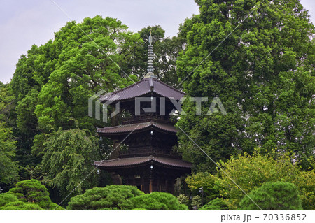 ホテル椿山荘 庭園 ホテル椿山荘 庭園 70336852