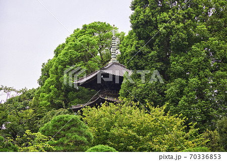 ホテル椿山荘　庭園 70336853