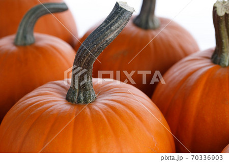 Many pumpkins collection Many pumpkins collection 70336903