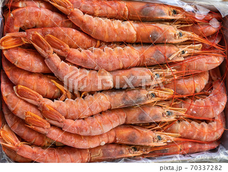 Frozen argentine red shrimp on head 70337282