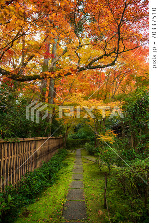 来迎院 泉涌寺塔頭 秋 来迎院 泉涌寺塔頭 秋 70337510