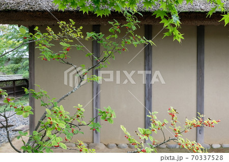 江戸時代中期の武家屋敷(武家住宅) 江戸時代中期の武家屋敷(武家住宅) 70337528