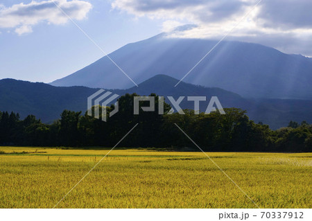 青空 秋 田んぼ 稲穂 青空 秋 田んぼ 稲穂 70337912