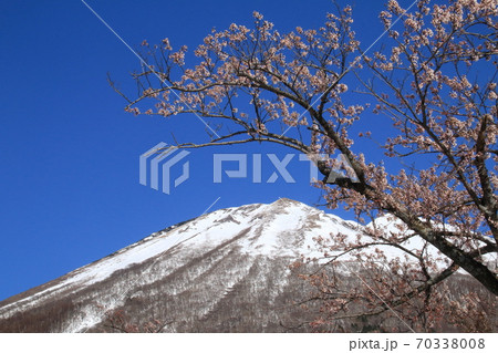 青空を背景にした雪山と桜の風景 青空を背景にした雪山と桜の風景 70338008