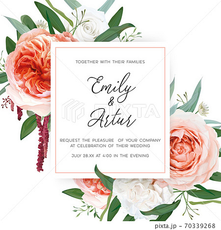 Vector watercolor wedding floral invite, greeting card design: blush peach, ivory white roses, pale coral Juliette flowers, burgundy red amaranth, greenery leaves bouquet frame. Elegant, chic template 70339268