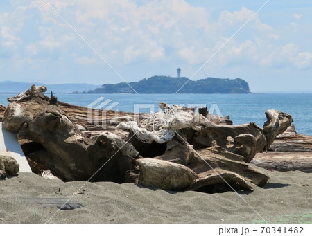 江の島と流木 江の島と流木 70341482