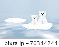 Two cute polar bears on a snowy ice floe 70344244