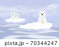 Three white polar bears on snowy ice floes 70344247