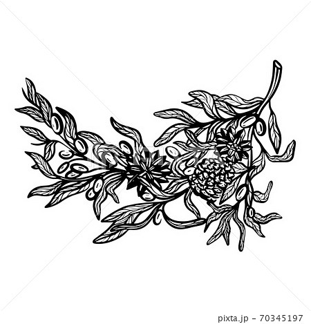 Twig with Christmas decorations, cones, berries 70345197