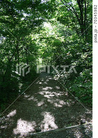 青空と緑、森林／ワーケーションでキャンプ 70345982