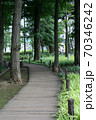 都会のオアシス／散策路 70346242