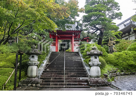 シイの木 亘理町 称名寺 シイの木 亘理町 称名寺 70346745