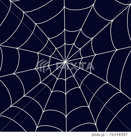紺色の背景に大きく張り巡らせた蜘蛛の巣のイラスト素材