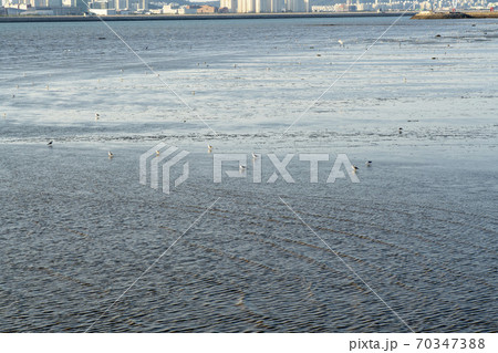 風景 仁川 インチョン 70347388