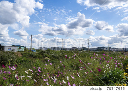 風景 空 雲 70347956