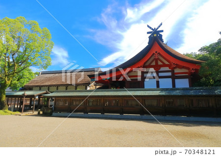 【福岡県】晴天下の宗像大社辺津宮　本殿	宗像大社　辺津宮　宗像大社辺津宮　本殿　拝殿　本社　世界文化 70348121