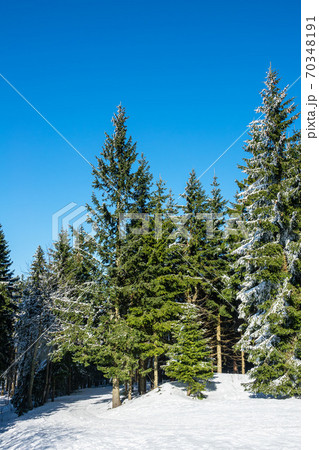 Winter with snow in the Giant Mountains, Czech Republic Winter with snow in the Giant Mountains, Czech Republic 70348191
