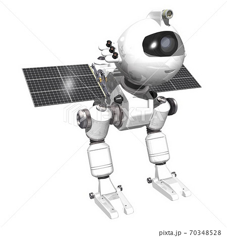 惑星　小惑星　衛星　鳥型探査ロボット 70348528