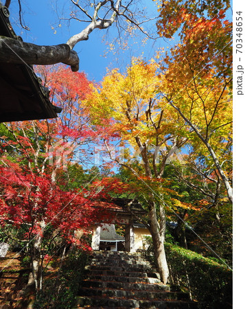 京都大原寂光院の紅葉 京都大原寂光院の紅葉 70348654