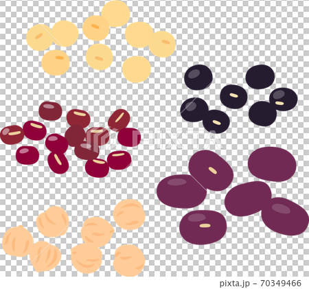Beans illustration set 70349466