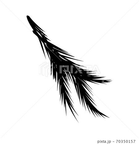 Spruce twig black silhouette vector stock illustration 70350157