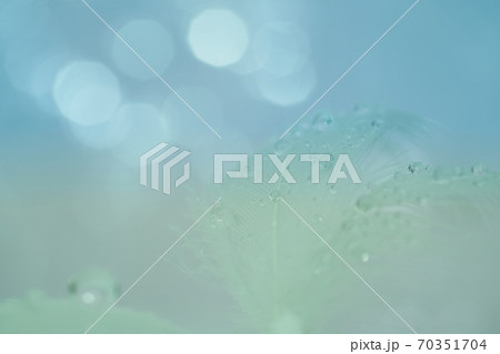 白い羽と雫の水滴アート 青と黄色のグラデーションの写真素材