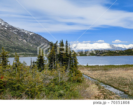 6月のアラスカ ホワイトパス&ユーコン鉄道のデッキから見た沿線風景 6月のアラスカ ホワイトパス&ユーコン鉄道のデッキから見た沿線風景 70351808