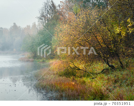 Autumn tree by the pond. Mystical morning  70351951