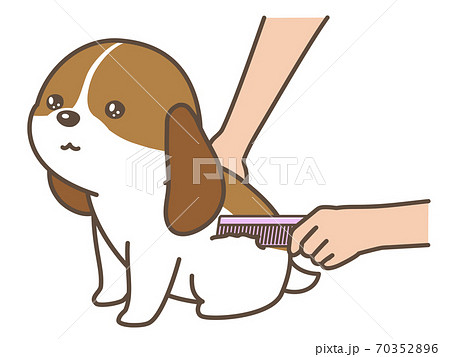 犬のトリミング　ブラッシング 70352896