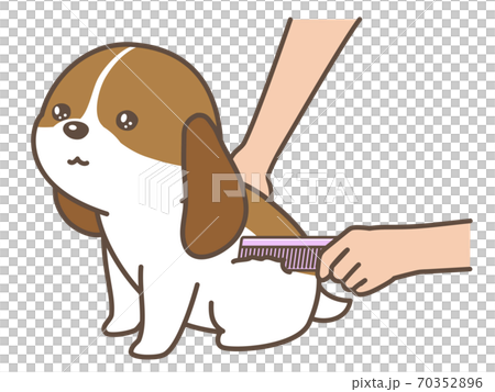 犬のトリミング　ブラッシング 70352896