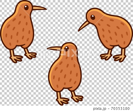 Cute kiwi bird drawing - Stock Illustration [70353180] - PIXTA