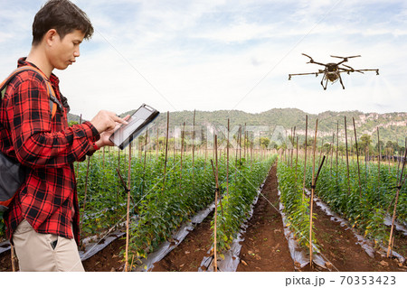 Smart farmer using technology control agriculture drone farming fly to spray fertilizer or Insecticide on the fields. Industrial agriculture and smart farming drone technology smart farm concept 70353423