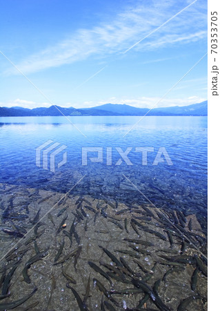 田沢湖 水面さかな 田沢湖 水面さかな 70353705