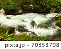 奥入瀬渓流　渓谷 70353708