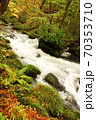 奥入瀬渓流　紅葉 70353710