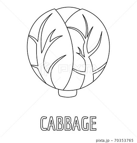 Cabbage icon, outline style. 70353765