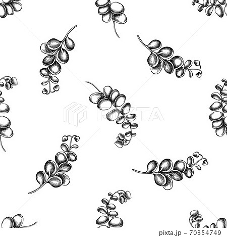 Seamless pattern with black and white kalanchoe 70354749