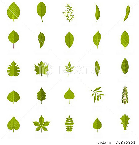 Leaf icons set, flat style Leaf icons set, flat style 70355851