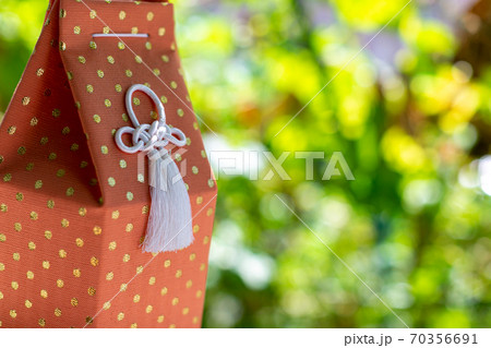 愛犬の遺骨　葬儀　骨壺　お骨 70356691