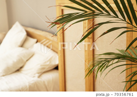 Living space or hotel room in a Scandinavian style. Green plant 70356761