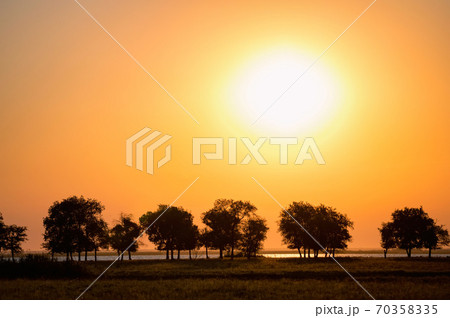 Orange sunset over the trees by the river 70358335