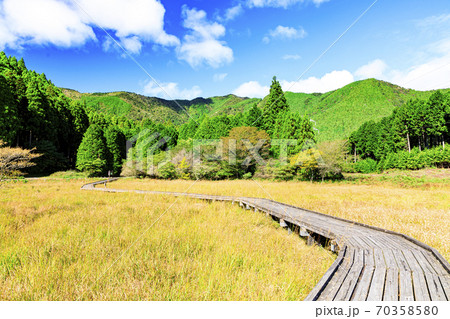 富士山の見える唯一静岡県富士宮市小田貫湿原の草紅葉 70358580