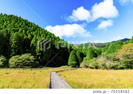 富士山の見える唯一静岡県富士宮市小田貫湿原の草紅葉の写真素材