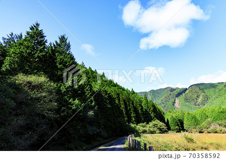 富士山の見える唯一静岡県富士宮市小田貫湿原の草紅葉 富士山の見える唯一静岡県富士宮市小田貫湿原の草紅葉 70358592