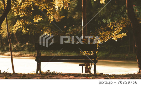 Background of city park in spring with trees, bushes and bench.island  and the lake 70359756