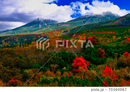 十勝岳の紅葉の写真素材