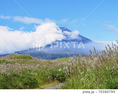 富士山とすすきの静岡県御殿場の秋 70360794